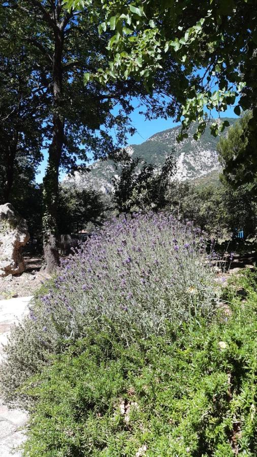 Azienda Agrituristica La Torretta Tocco da Casauria Eksteriør bilde